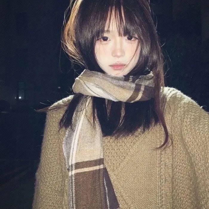 最后的夫人 海报